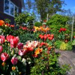 April bio bollen tijd