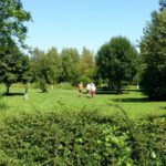 wandelen door de tuin