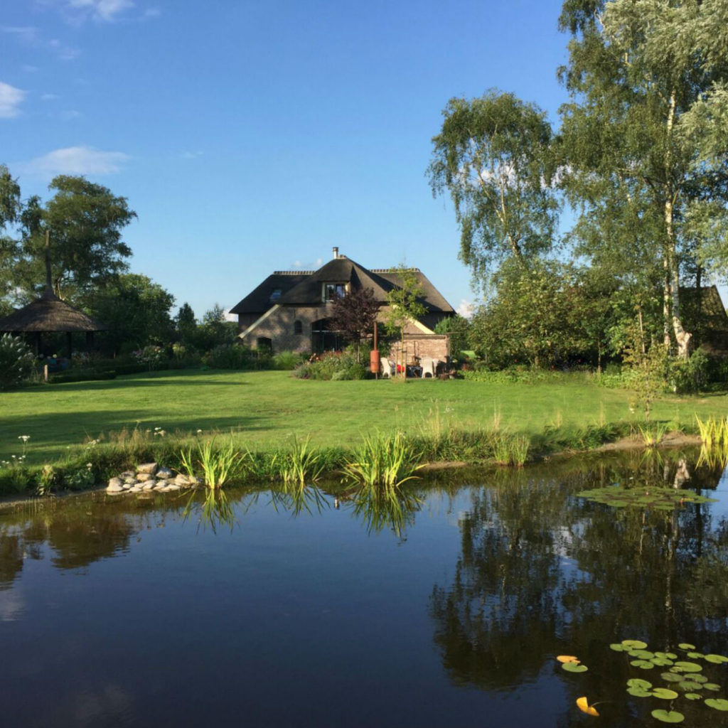 In tuin van Dorth Bezoekmijntuin