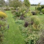 Hoofdpad van de tuin rondom